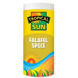 TS FALAFEL SPICE 100G